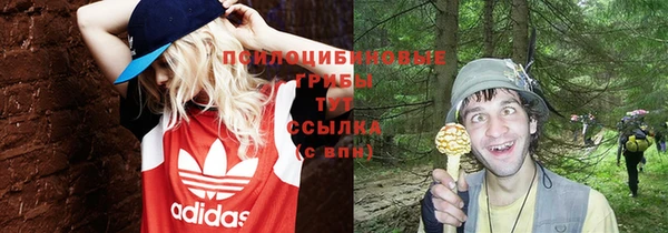 каннабис Фурманов