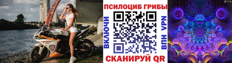 как найти наркотики  KRAKEN зеркало  Псилоцибиновые грибы мухоморы  Вологда 