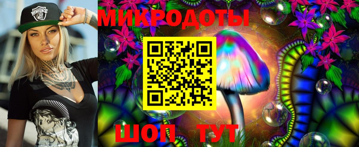 Вологда  Галлюциногенные грибы прущие грибы  Вход с VPN  Галлюциногенные грибы мицелий 