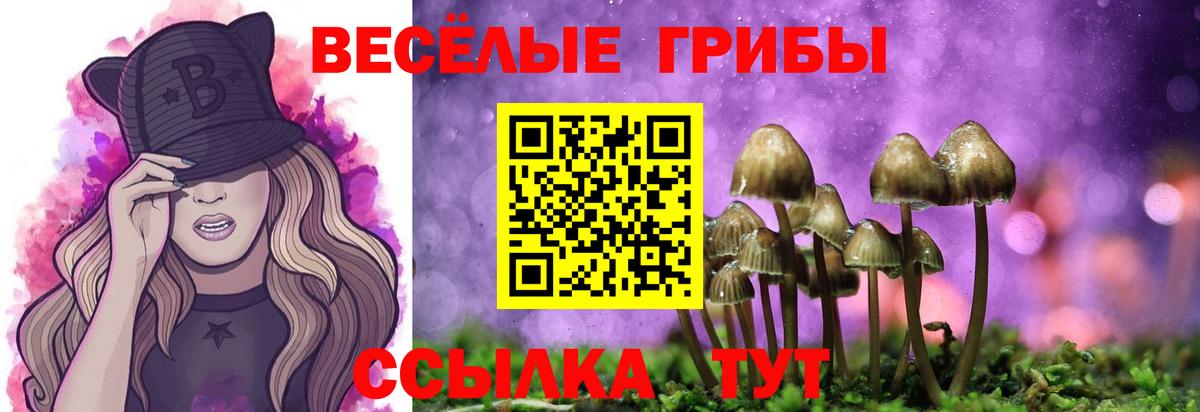 Галлюциногенные грибы прущие грибы Вологда